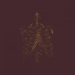 Venowl : Gnawed Gristle and Bone